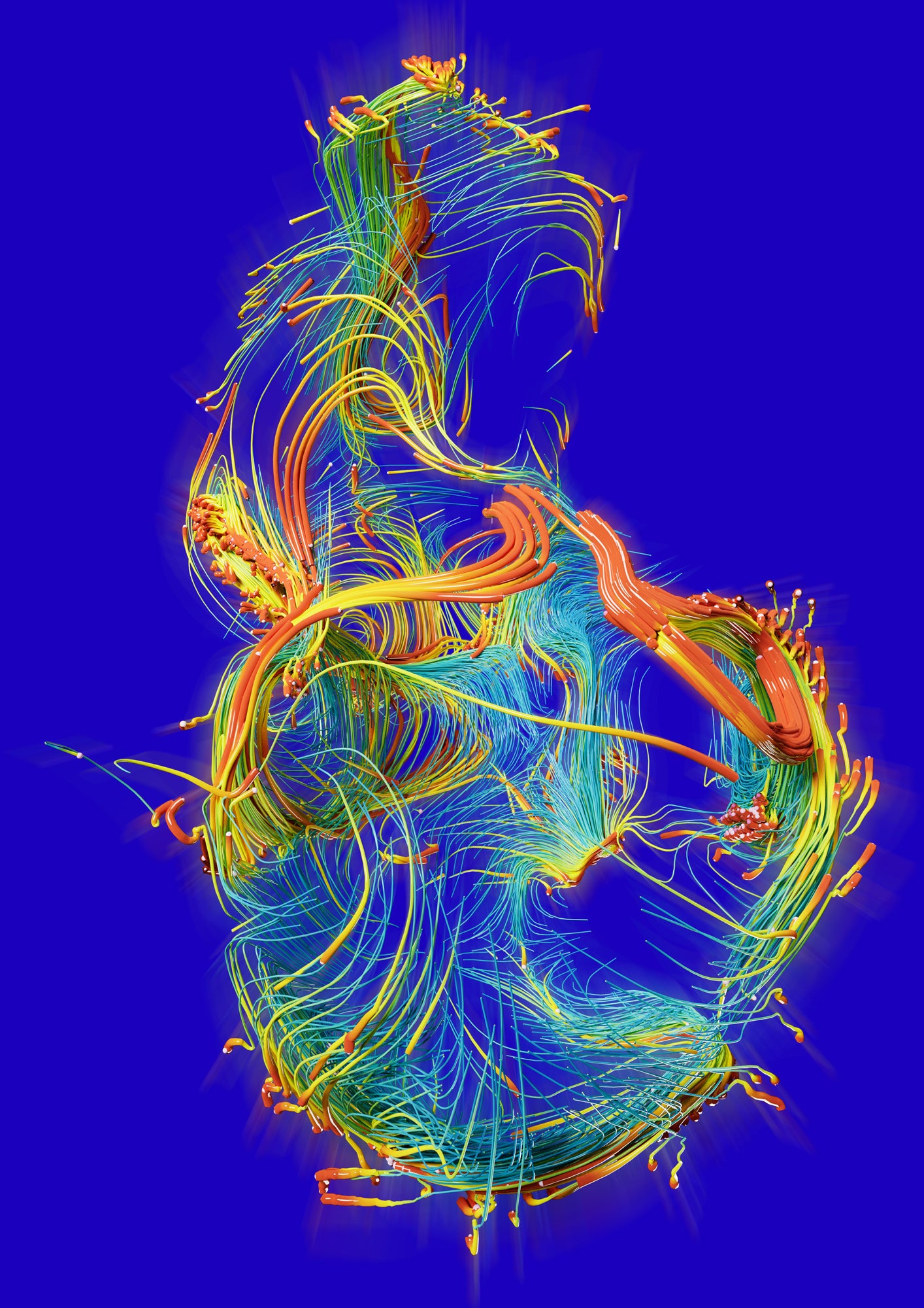 James Dawe - Face-Contours