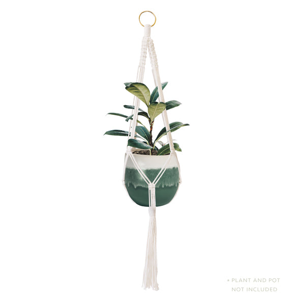 Macrame Plant Hanger
