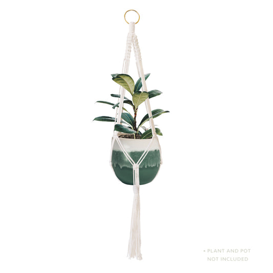 Macrame Plant Hanger
