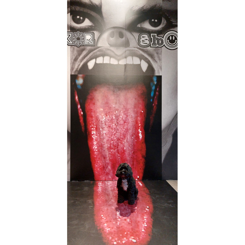 Somerset house London, bracelets leather, Choker leather, leather wristbands, wristbands leather, choker leather, leather chokers, leather wrist straps, black leather bracelet, the horror show, somerset House the horror show,somerset house exhibitions