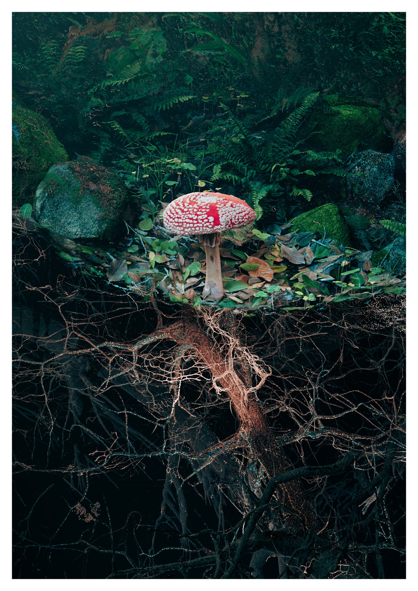 Fly Agaric I by Marshmallow Laser Feast Giclée print on Hahnemuhle Bamboo Paper Limited Edition of 50   With certificate of authenticity (unframed)