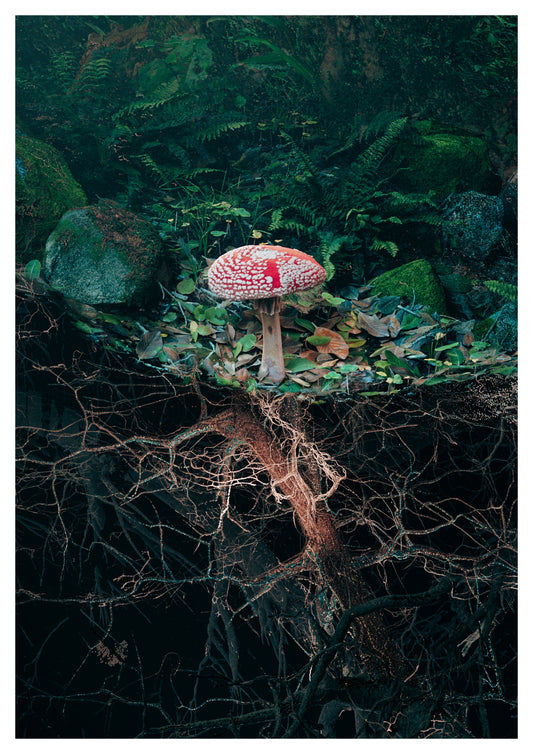 Fly Agaric I by Marshmallow Laser Feast Giclée print on Hahnemuhle Bamboo Paper Limited Edition of 50   With certificate of authenticity (unframed)
