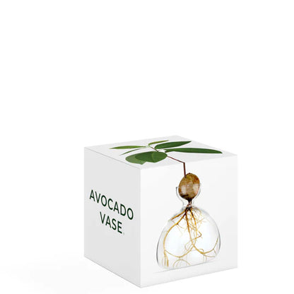Avocado Vase - Green