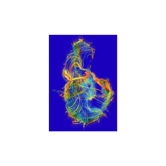James Dawe - Face-Contours-01b