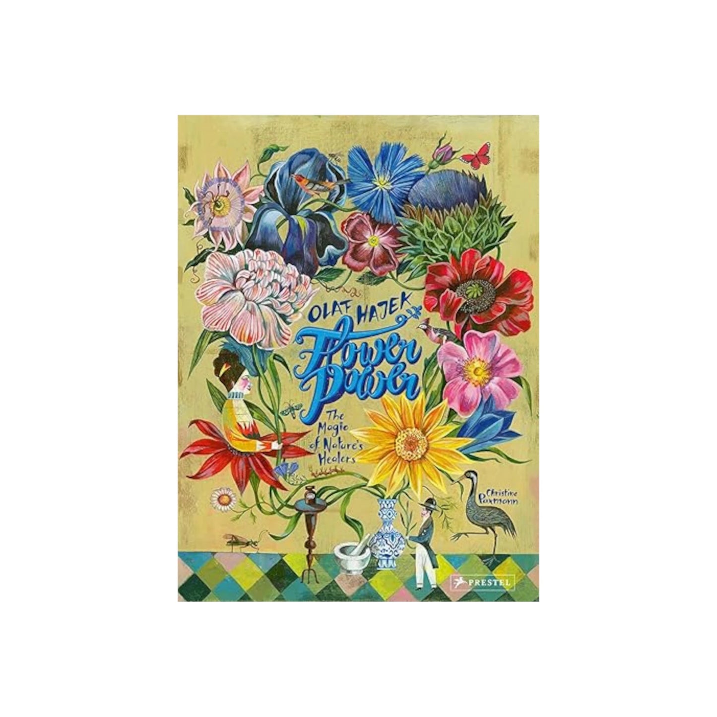 Flower Power: The Magic of Nature's Healers