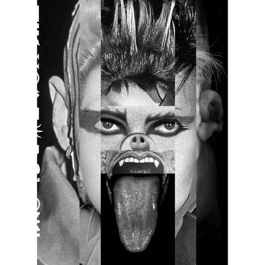 * The Horror Show! book
