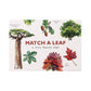Match a leaf ~ a tree memory game