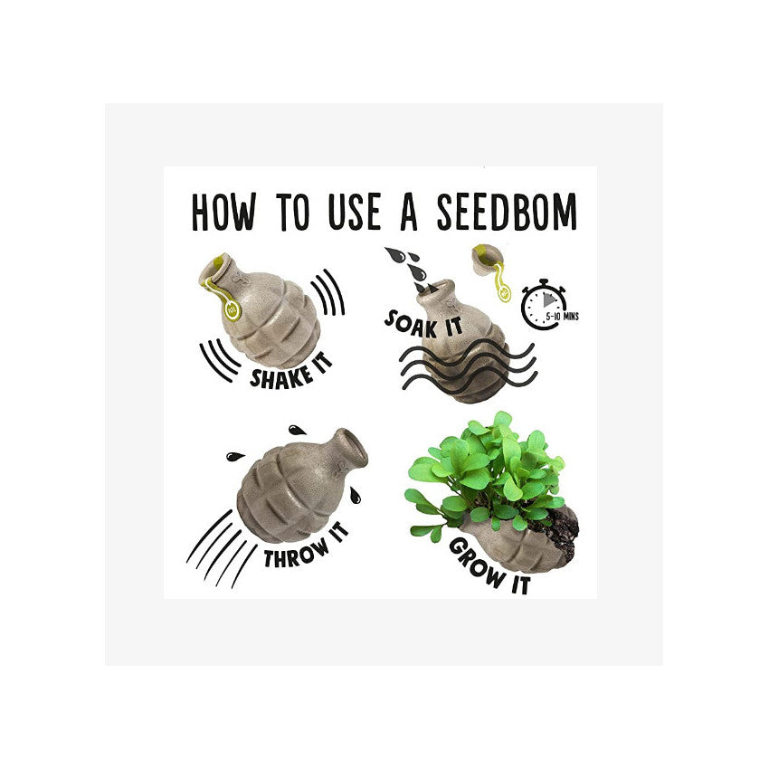 Kabloom is a seedbom full of seeds for plants flower. Get your online seeds or seeds online. Flowering plants in a seedbom. soak and plant the online seeds as they are flowering seeds and grow as plants with seeds.