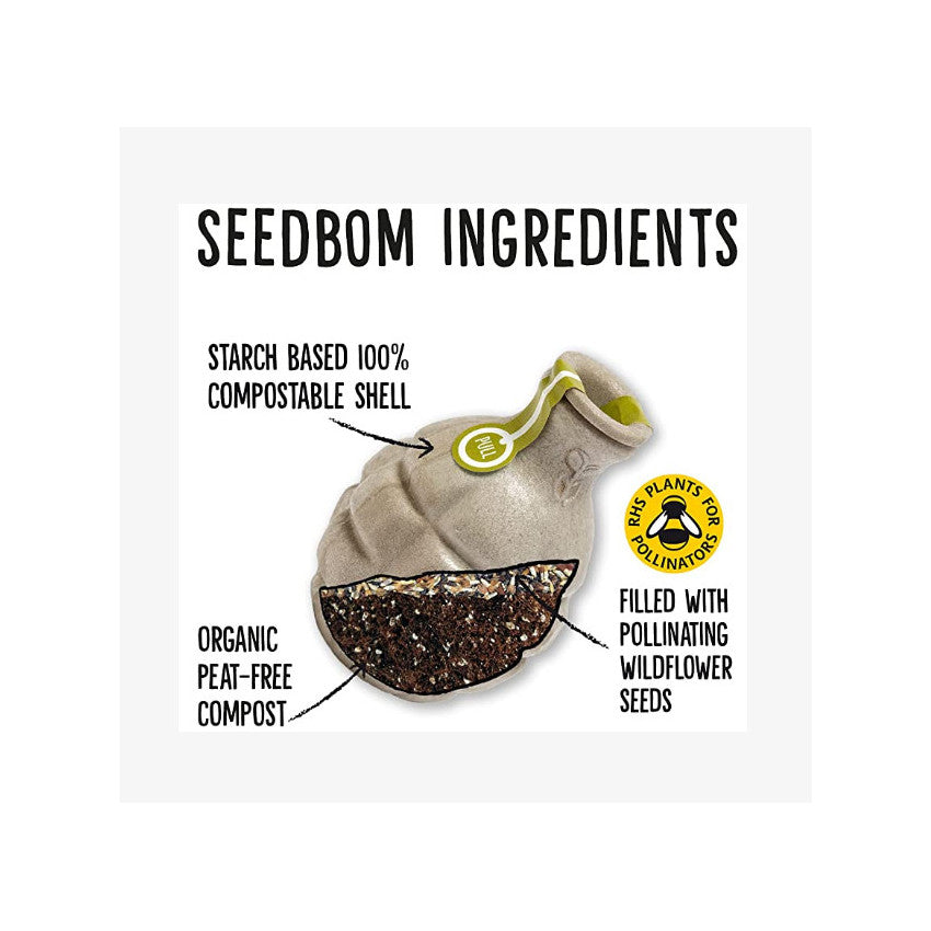 Kabloom is a seedbom full of seeds for plants flower. Get your online seeds or seeds online. Flowering plants in a seedbom. soak and plant the online seeds as they are flowering seeds and grow as plants with seeds.