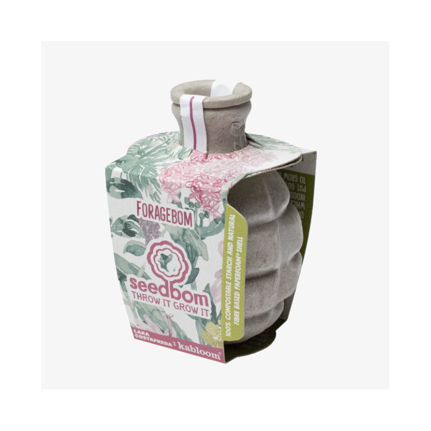 Kabloom is a seedbom full of seeds for plants flower. Get your online seeds or seeds online. Flowering plants in a seedbom. soak and plant the online seeds as they are flowering seeds and grow as plants with seeds.