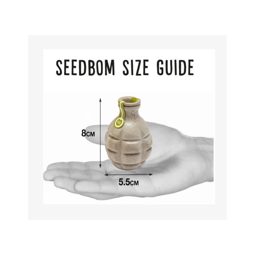 Kabloom is a seedbom full of seeds for plants flower. Get your online seeds or seeds online. Flowering plants in a seedbom. soak and plant the online seeds as they are flowering seeds and grow as plants with seeds.