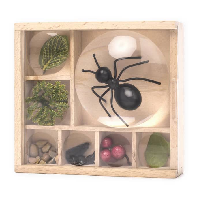 Huckleberry Bug Box